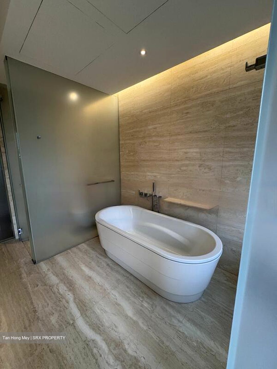 Hana (D10), Condominium #497122991